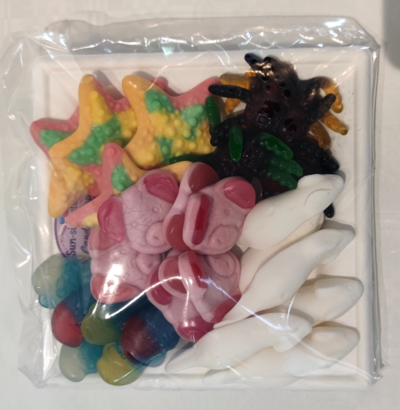 Unsere kleinen Süßigkeitenplatten sind eine super Idee für Ihren Kindergeburtstag